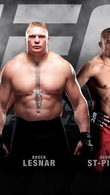 Das Ufc Mma Mixed Fighters Wallpaper 360x640