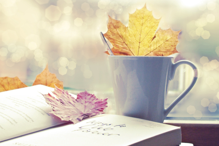 Screenshot №1 pro téma Autumn Still Life