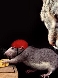Cat, mouse and mousetrap screenshot #1 240x320