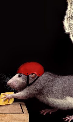 Cat, mouse and mousetrap screenshot #1 240x400