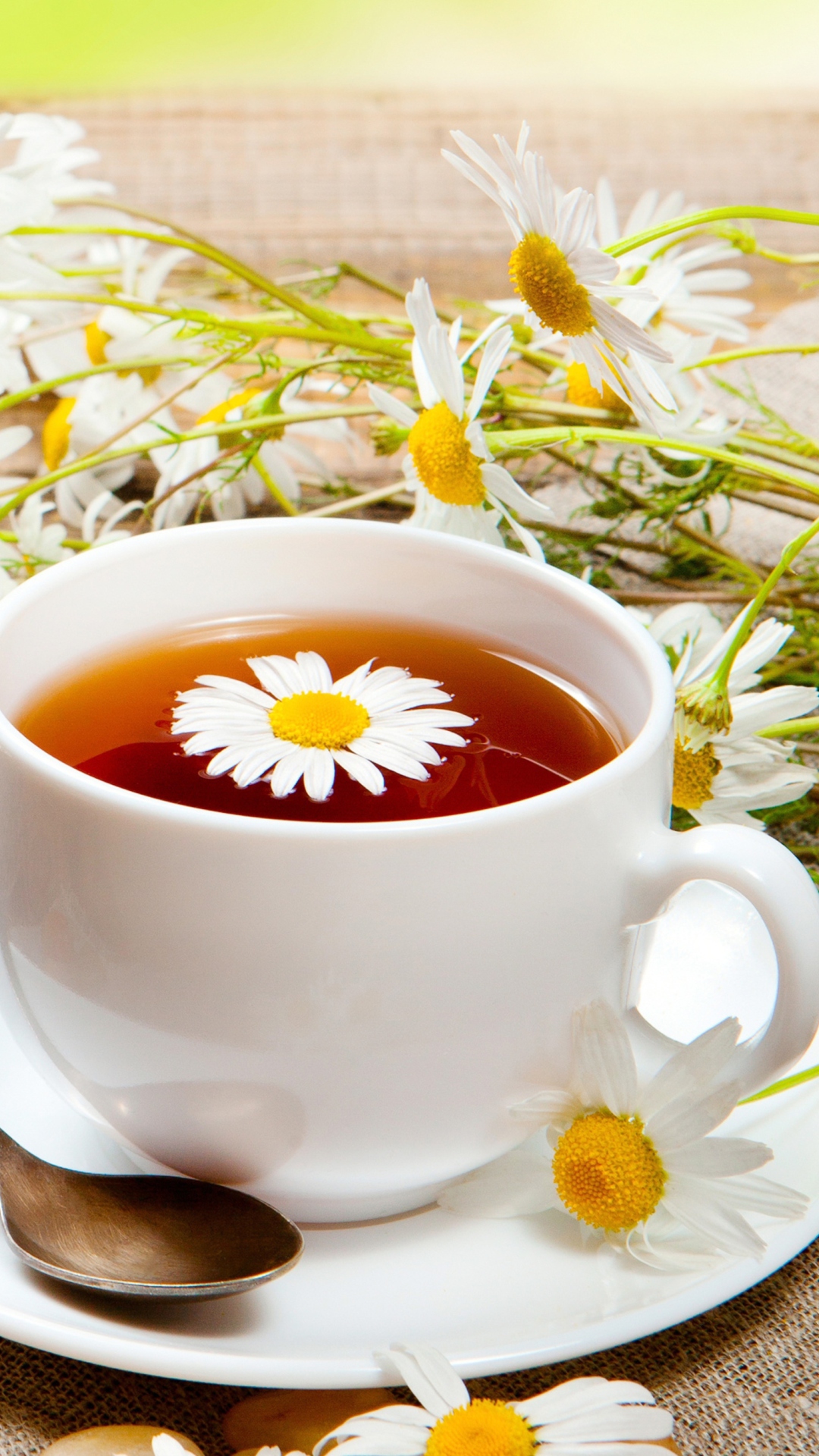 Обои Chamomile Tea 1080x1920