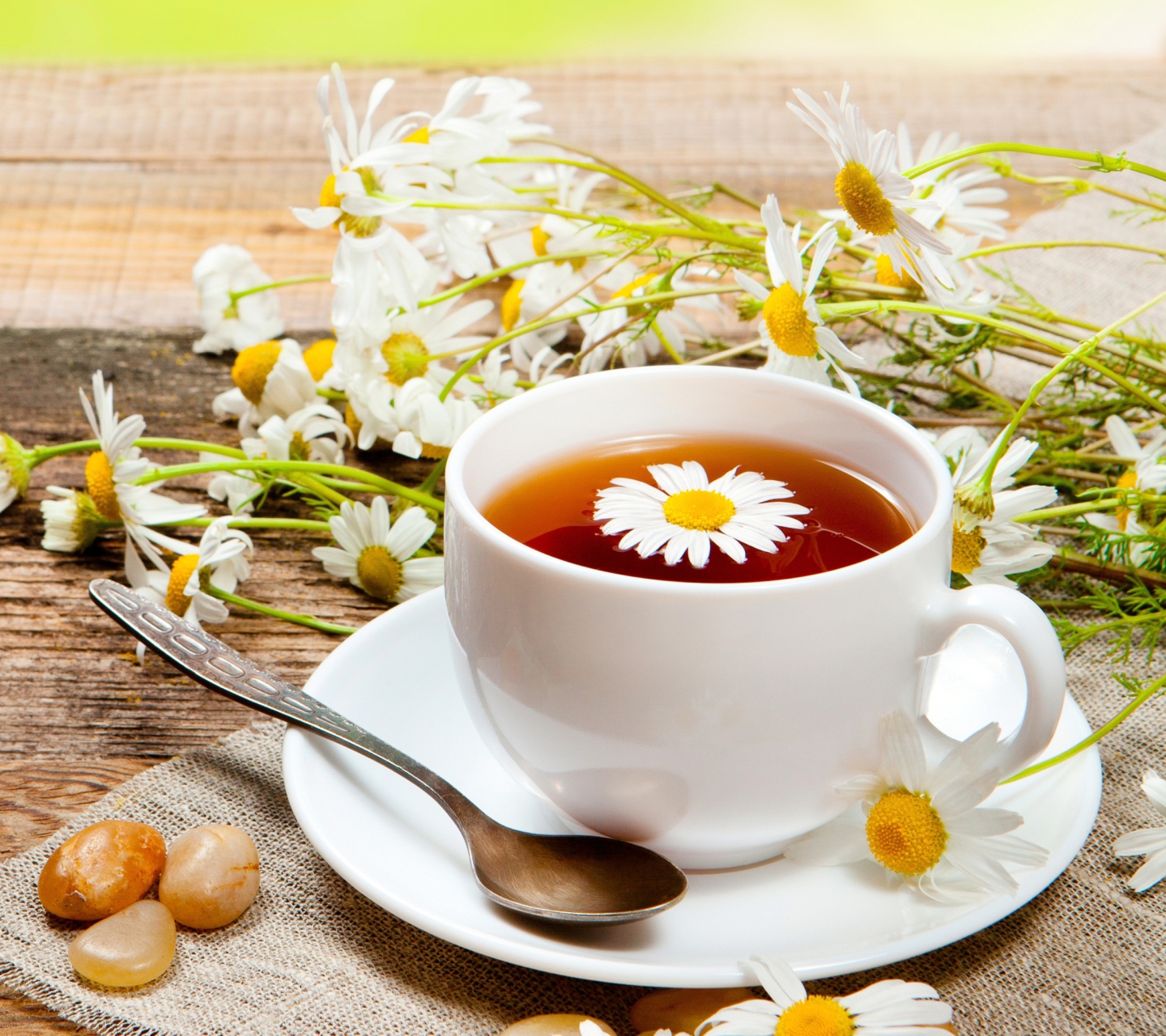 Обои Chamomile Tea 1440x1280