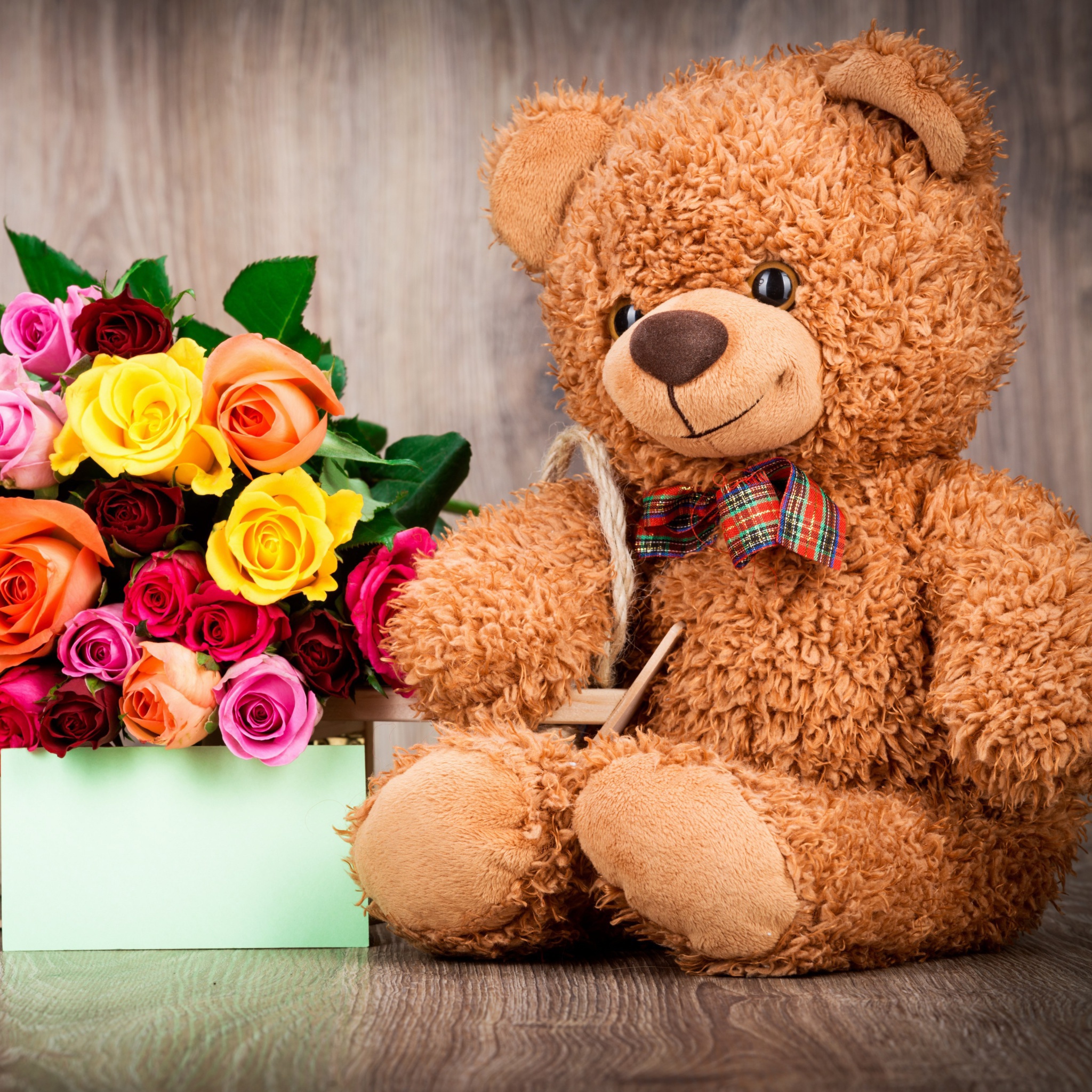Обои Valentines Day Teddy Bear with Gift 2048x2048