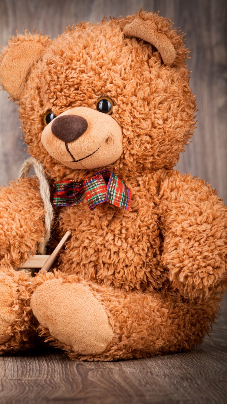 Valentines Day Teddy Bear with Gift wallpaper 750x1334