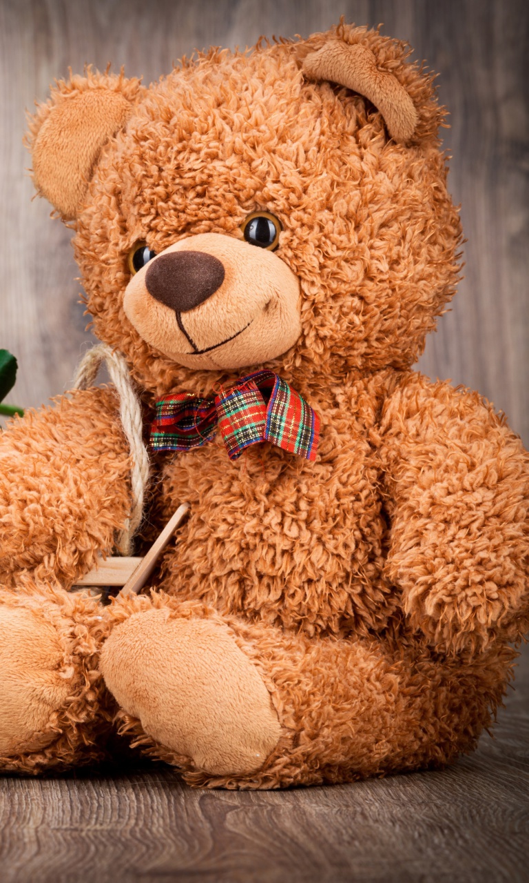 Обои Valentines Day Teddy Bear with Gift 768x1280