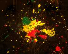 Screenshot №1 pro téma Rasta Splash 220x176