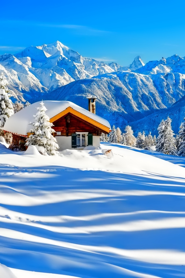 Fondo de pantalla Switzerland Alps in Winter 640x960