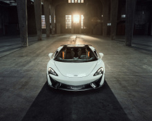 Обои Novitec McLaren 570S Spider 2018 220x176