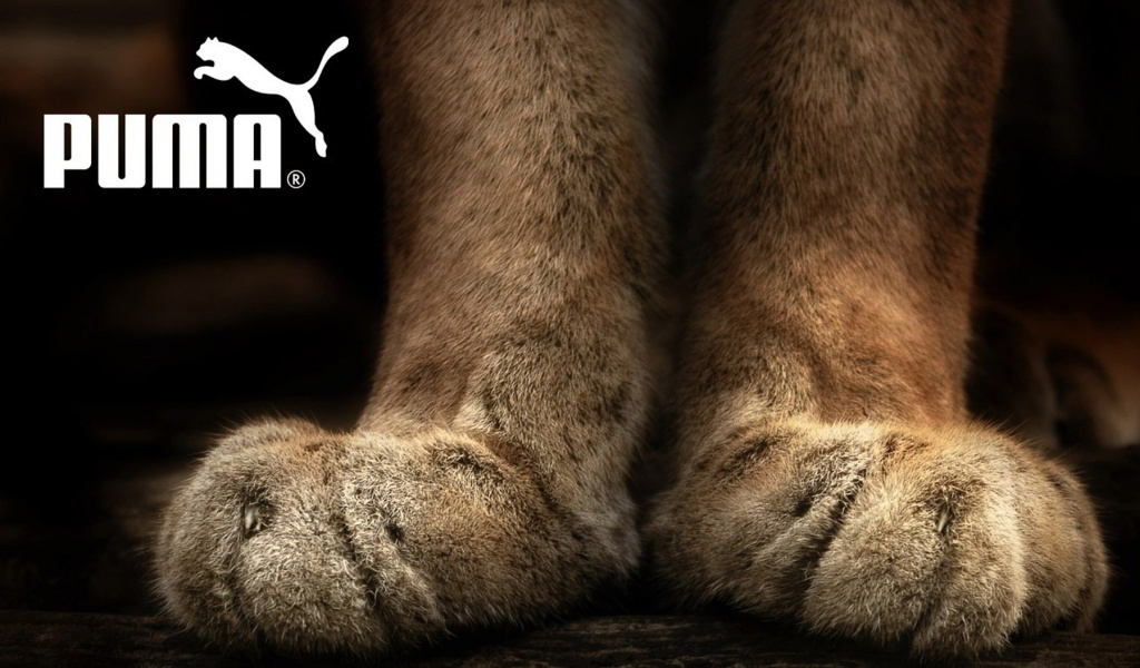 Screenshot №1 pro téma Puma Fluffy Logo 1024x600