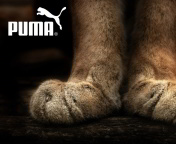 Das Puma Fluffy Logo Wallpaper 176x144