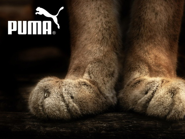 Обои Puma Fluffy Logo 640x480