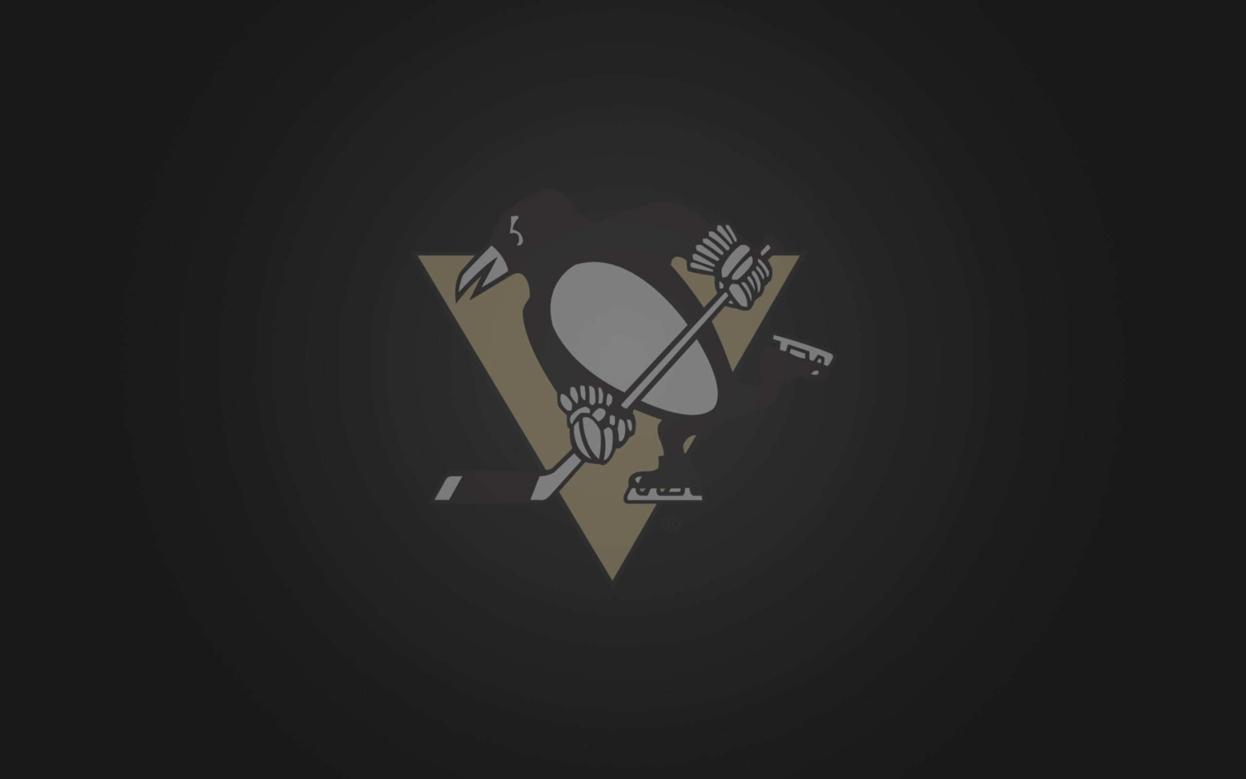 Screenshot №1 pro téma Pittsburgh Penguins 2560x1600