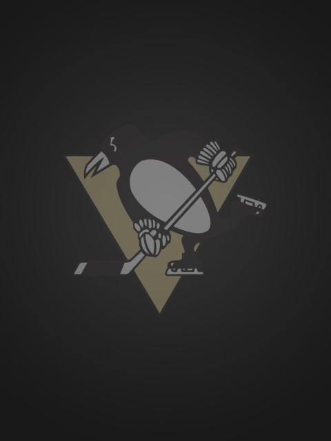 Screenshot №1 pro téma Pittsburgh Penguins 480x640