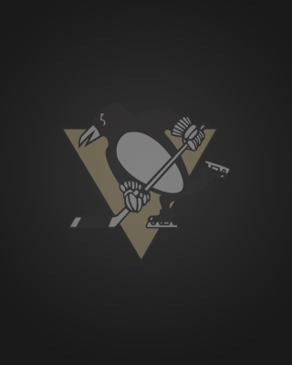 Pittsburgh Penguins - Obrázkek zdarma pro iPhone 5C