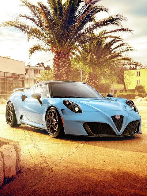 Обои Alfa Romeo Zeus 4C Pogea Racing 2019 480x640