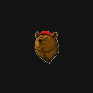 Cool Bear - Obrázkek zdarma pro iPad Air