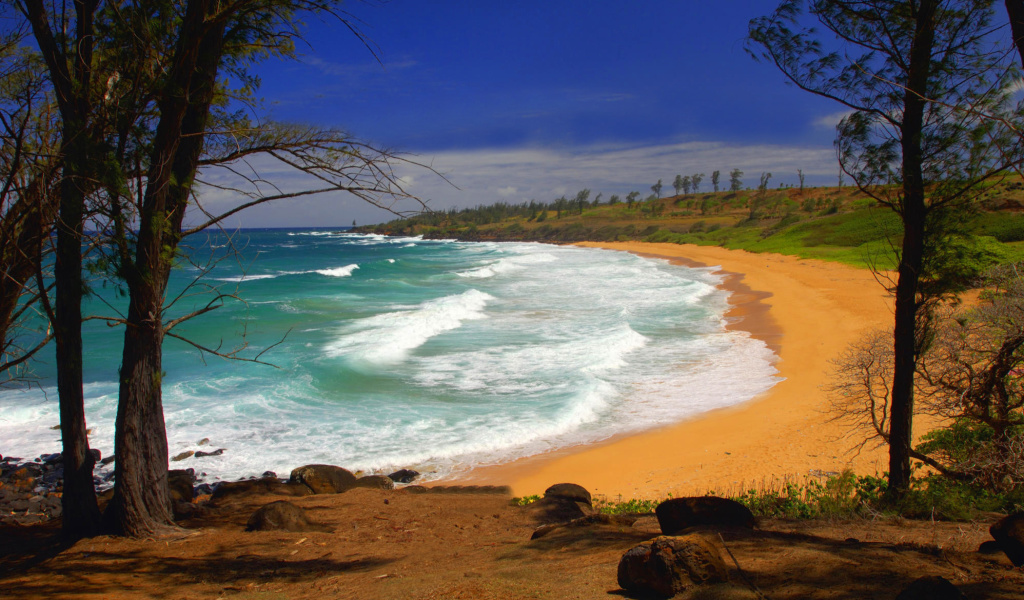 Обои Donkey Beach on Hawaii 1024x600