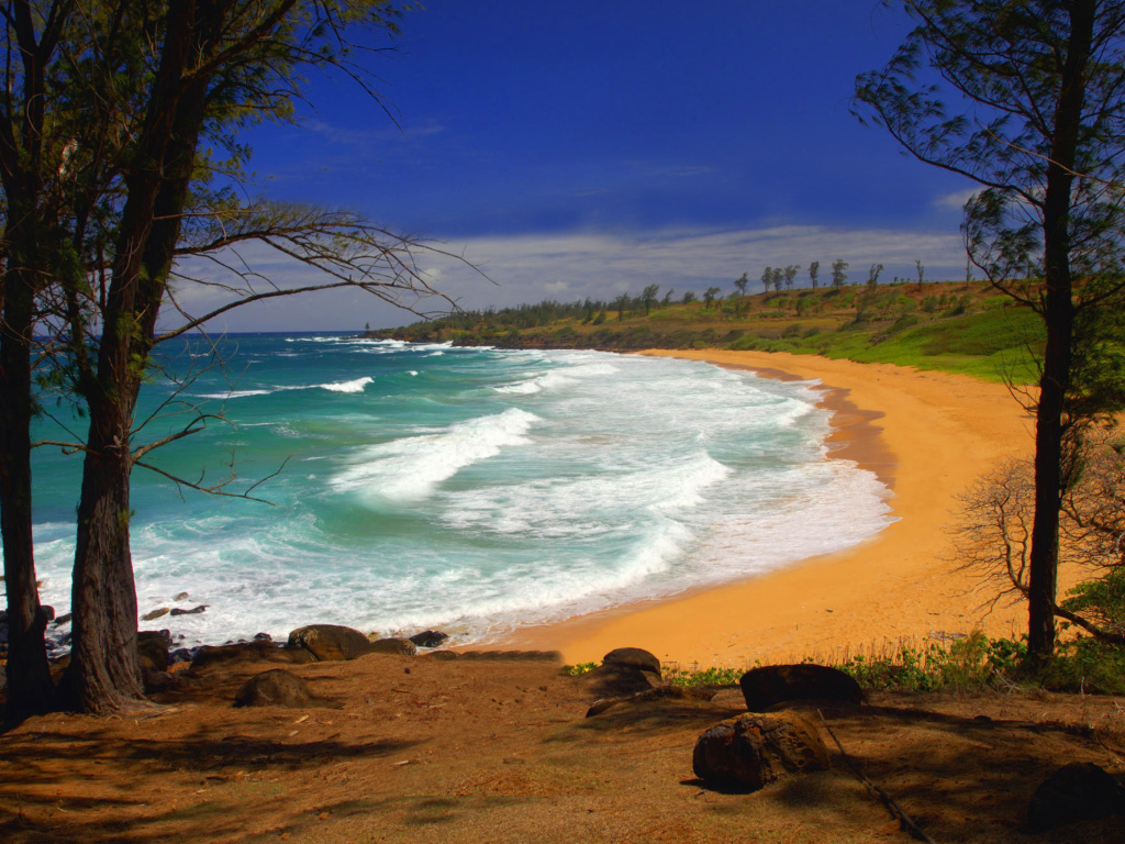 Обои Donkey Beach on Hawaii 1024x768