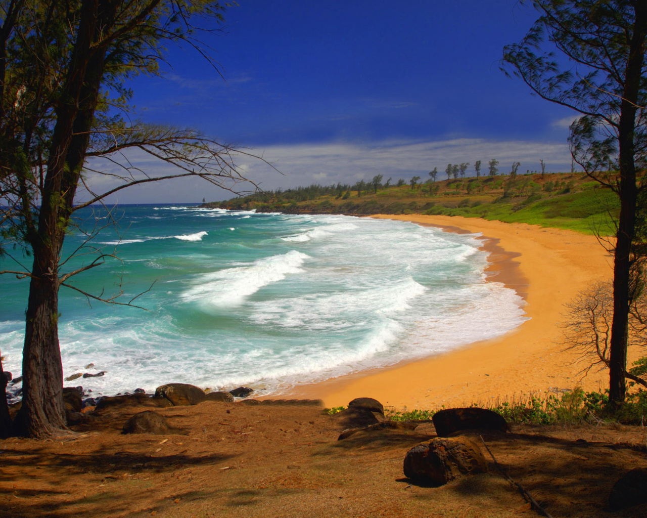 Das Donkey Beach on Hawaii Wallpaper 1280x1024