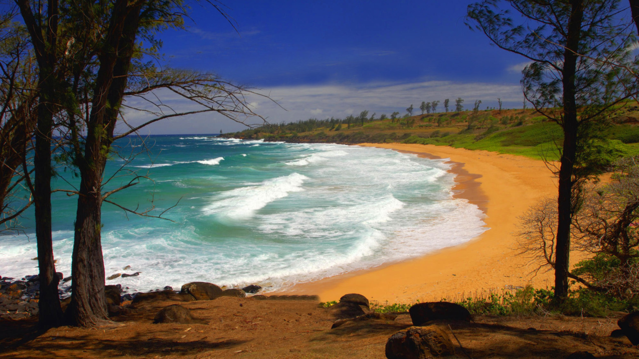 Donkey Beach on Hawaii wallpaper 1280x720