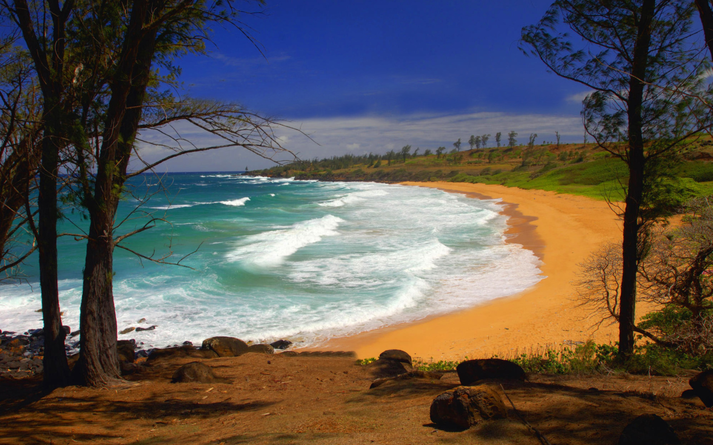 Screenshot №1 pro téma Donkey Beach on Hawaii 1440x900