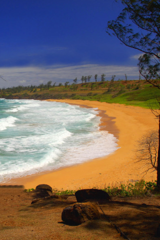 Screenshot №1 pro téma Donkey Beach on Hawaii 320x480