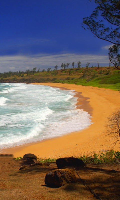 Screenshot №1 pro téma Donkey Beach on Hawaii 480x800