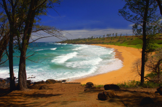 Donkey Beach on Hawaii Background for Android, iPhone and iPad