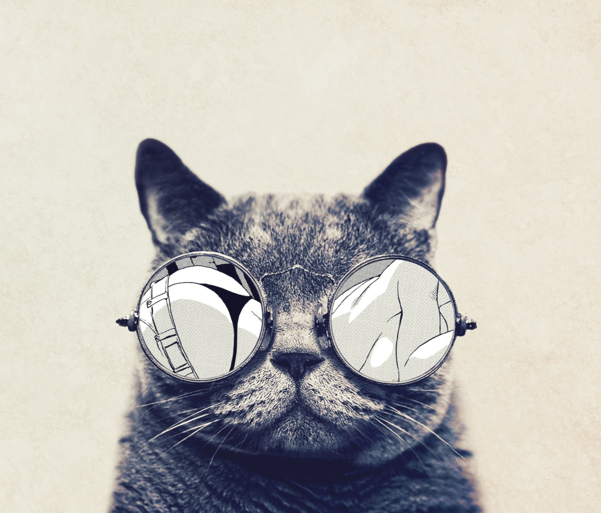 Funny Cat In Round Glasses wallpaper 1200x1024