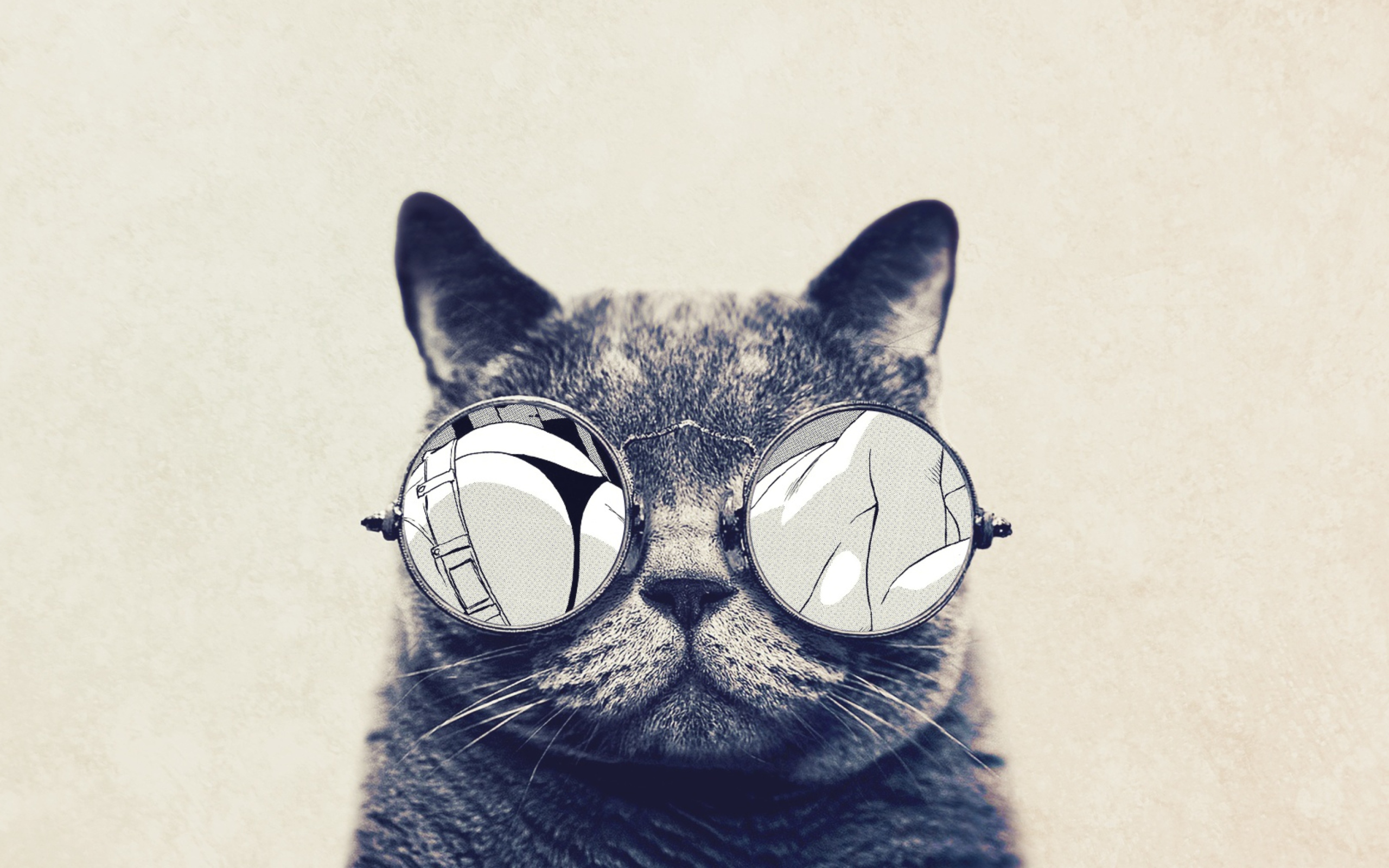 Screenshot №1 pro téma Funny Cat In Round Glasses 2560x1600