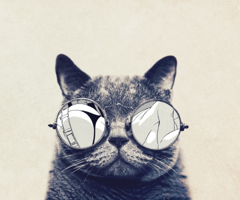 Screenshot №1 pro téma Funny Cat In Round Glasses 480x400