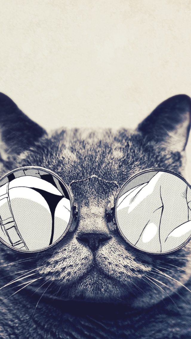 Funny Cat In Round Glasses wallpaper 640x1136
