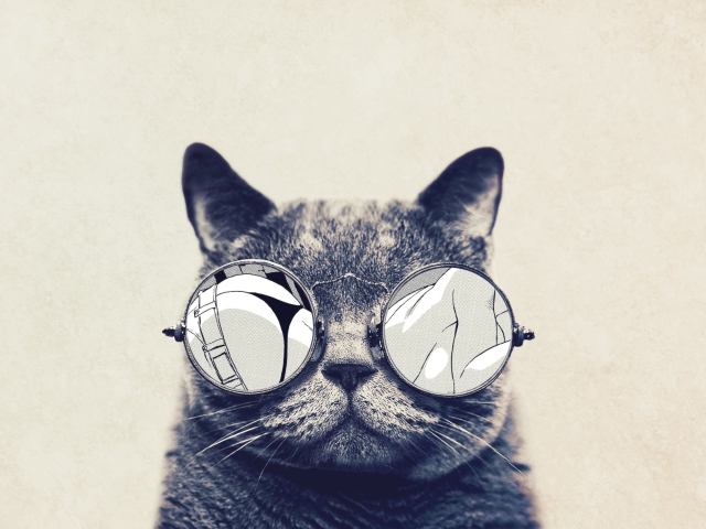 Funny Cat In Round Glasses wallpaper 640x480