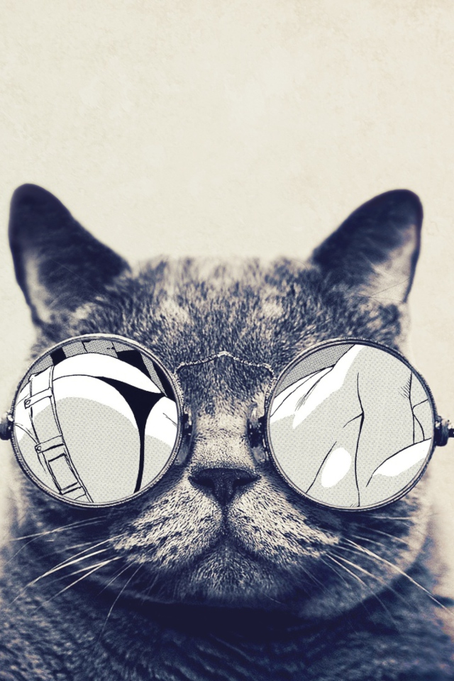 Fondo de pantalla Funny Cat In Round Glasses 640x960