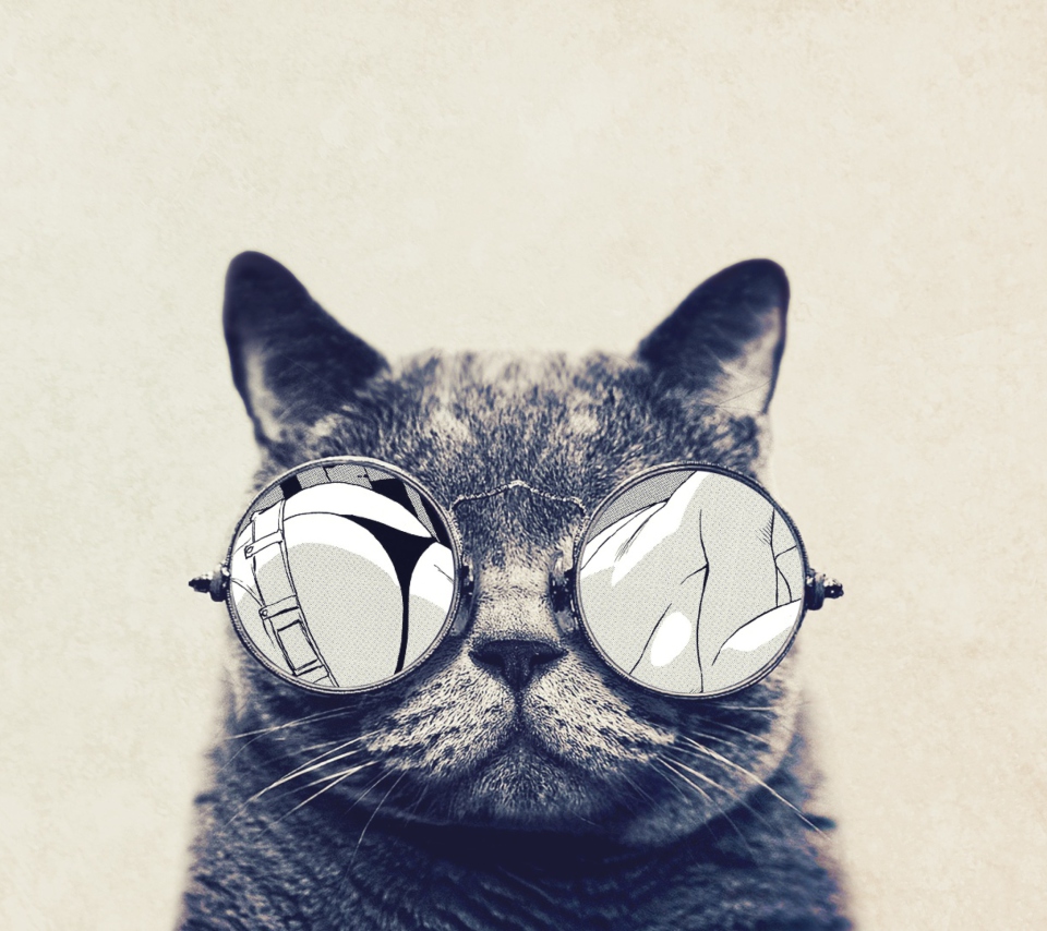 Das Funny Cat In Round Glasses Wallpaper 960x854