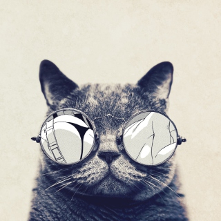 Funny Cat In Round Glasses sfondi gratuiti per iPad