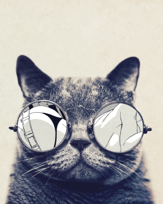 Funny Cat In Round Glasses - Obrázkek zdarma pro 128x160