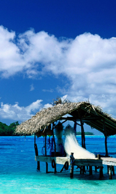 Обои Thatched Hut, Bora Bora, French Polynesia 240x400