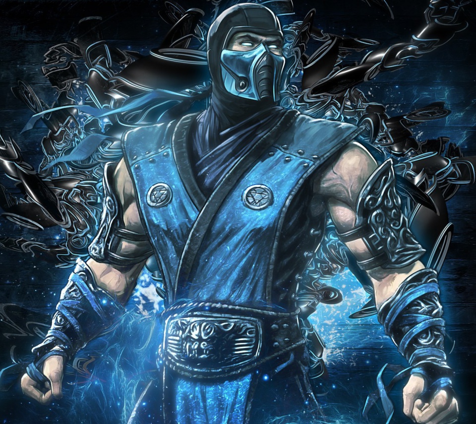 Das Mortal kombat, Sub zero Wallpaper 960x854