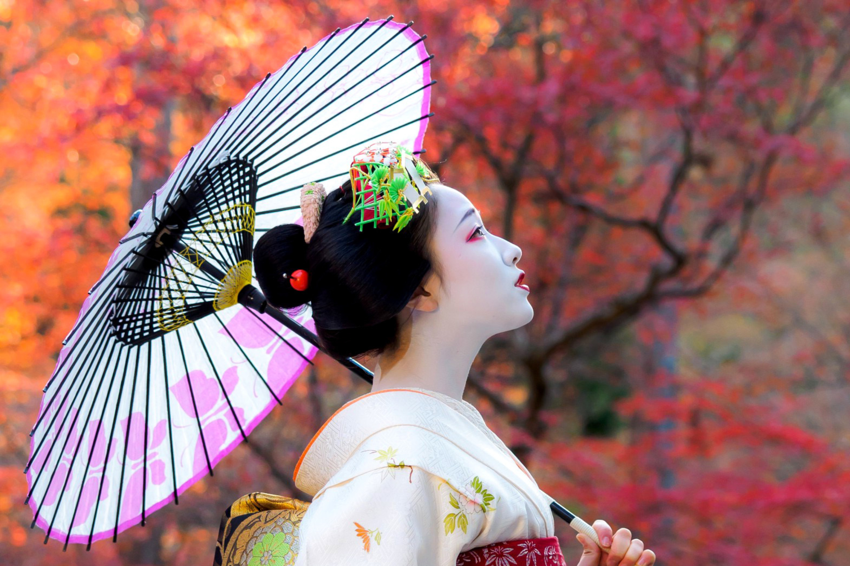 Обои Japanese Girl with Umbrella 2880x1920
