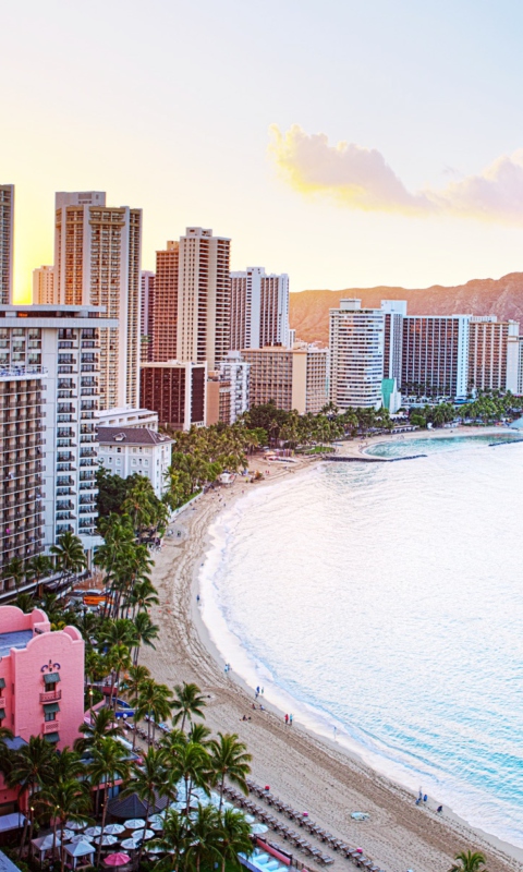 Screenshot №1 pro téma Waikiki Beach Hawaii 480x800