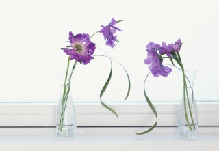Purple Flowers - Obrázkek zdarma pro Samsung Galaxy Q
