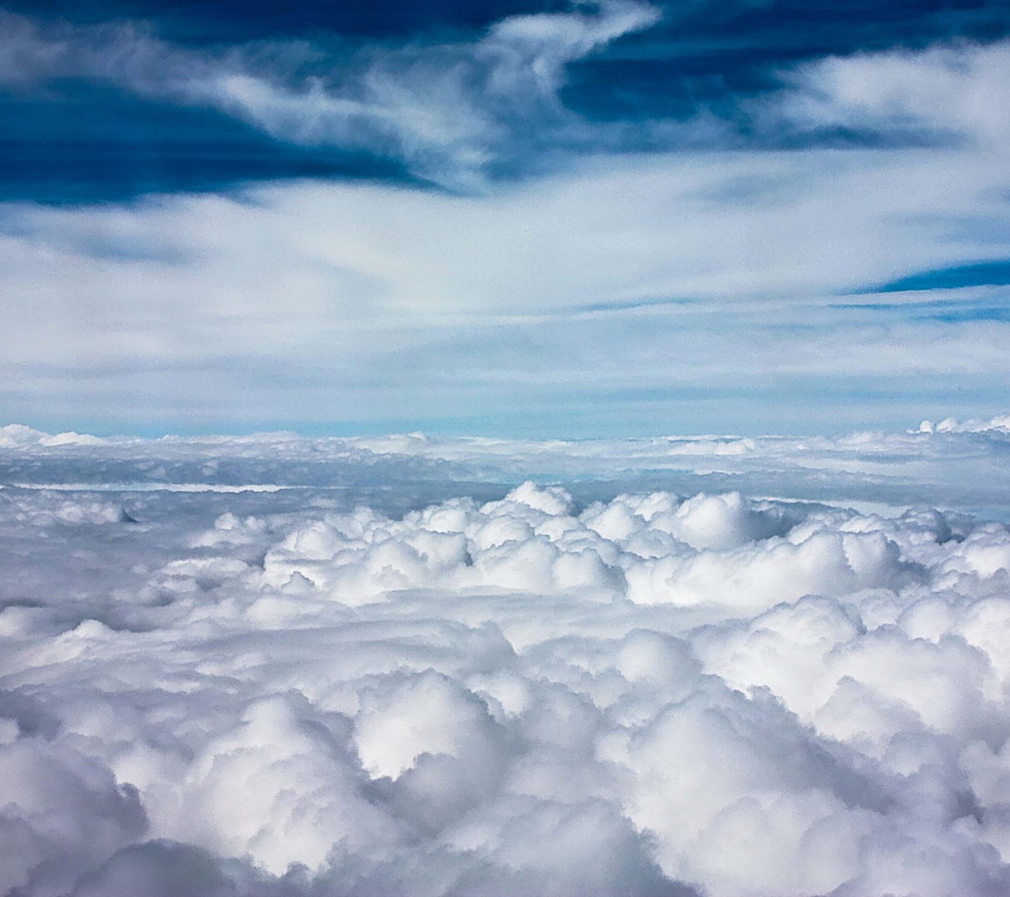 Above Clouds wallpaper 1440x1280