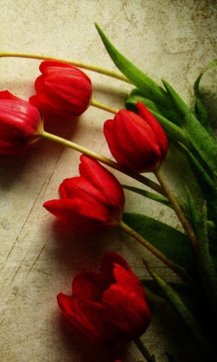 Red Tulips screenshot #1 240x400