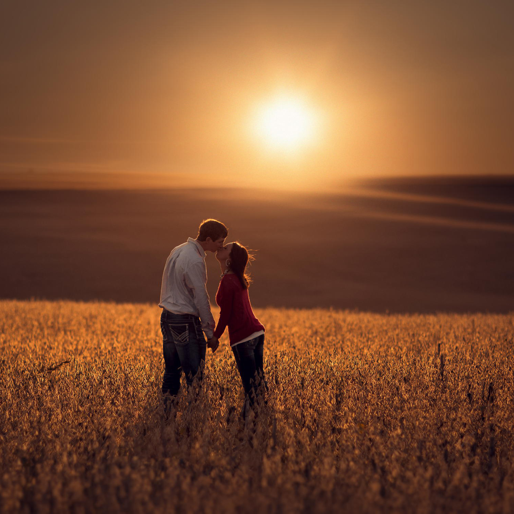 Das Couple Kissing In Field Wallpaper 2048x2048