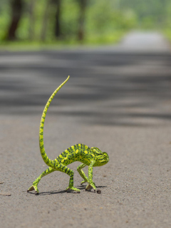 Das Chameleon Walk Wallpaper 240x320