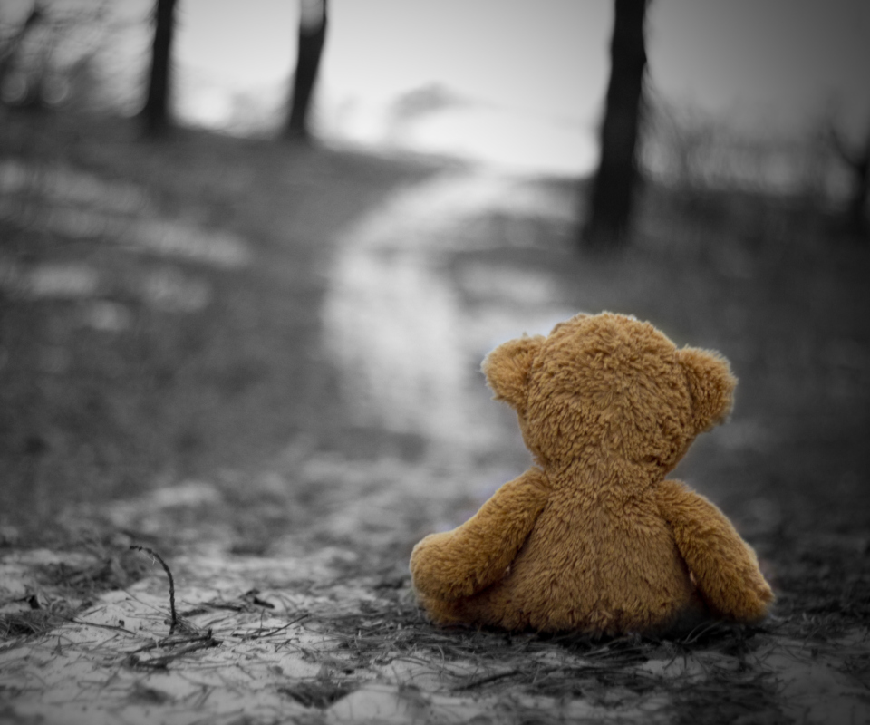 Fondo de pantalla Lonely Bear 960x800