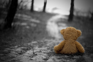 Free Lonely Bear Picture for Android, iPhone and iPad