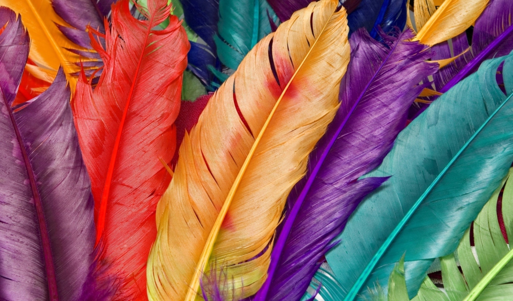 Das Colored Feathers Wallpaper 1024x600