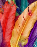 Fondo de pantalla Colored Feathers 128x160
